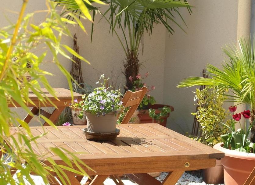 Patio Photo