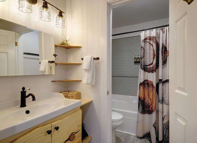 Salle de bain Photo