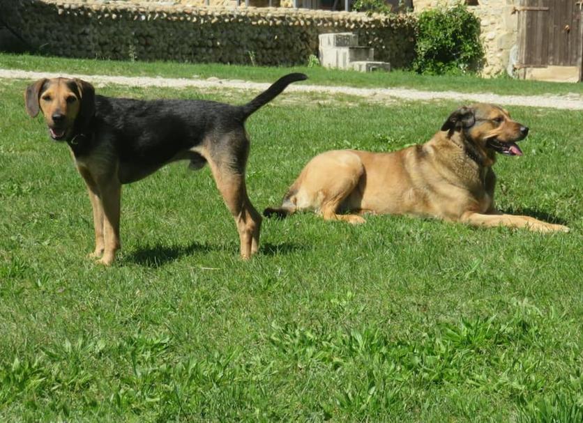 Autre Photo