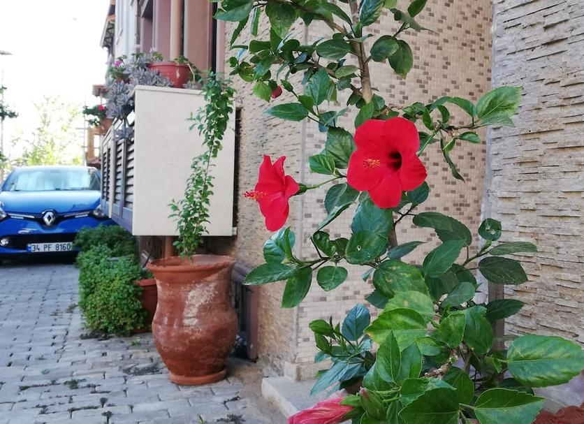 Extérieur Photo