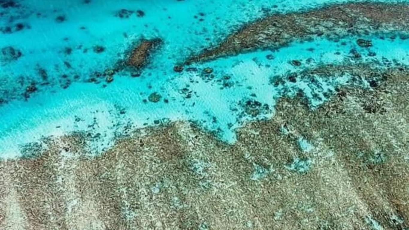 Ningaloo Lodge Exmouth