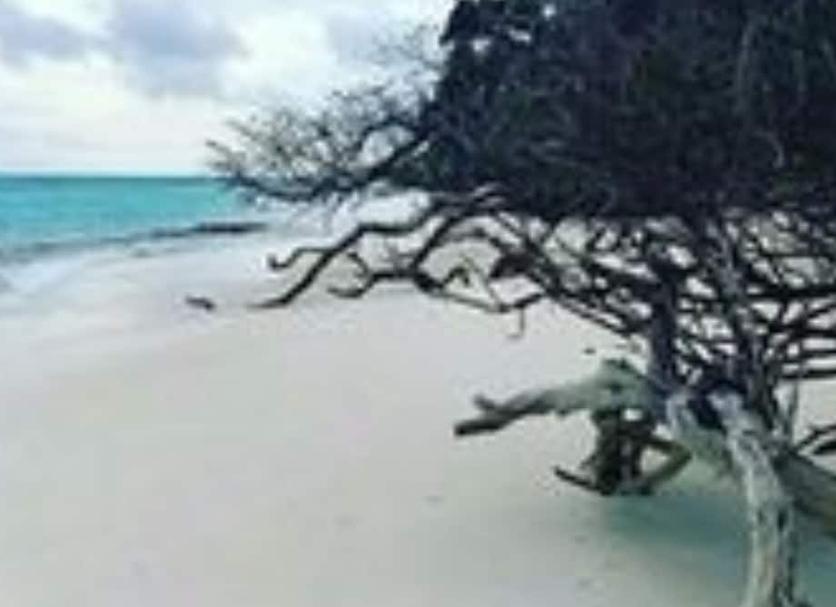 Plage Photo