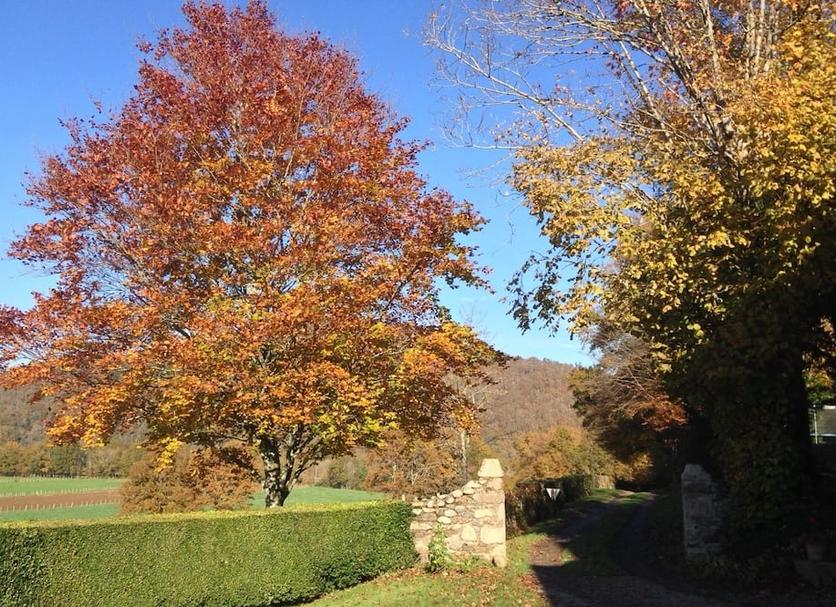 Extérieur Photo