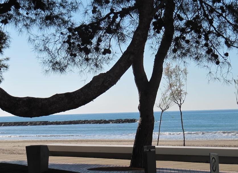 Plage Photo