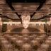 Salle de banquet