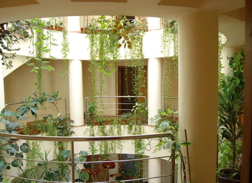 Extérieur Photo