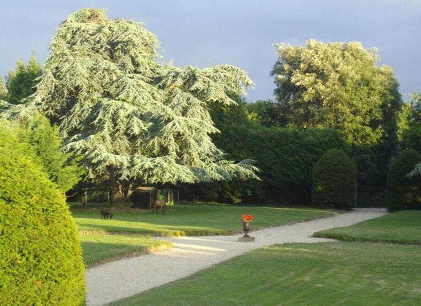 Extérieur Photo