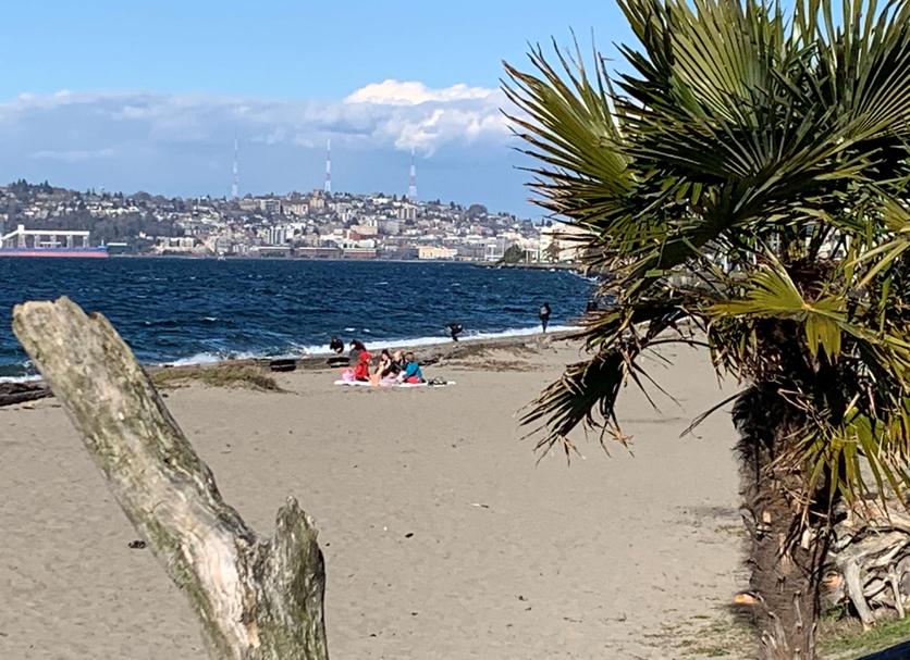 Plage Photo