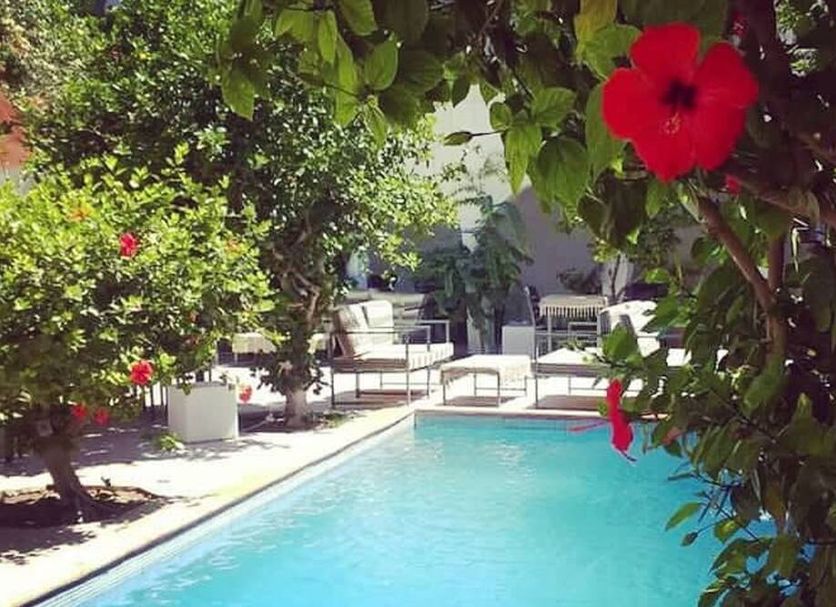 Piscine Photo