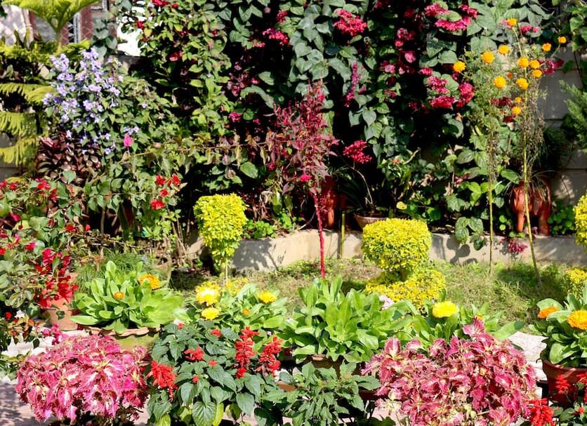 Extérieur Photo