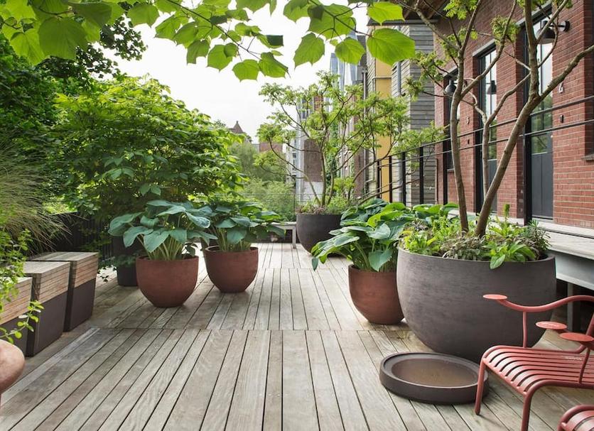 Patio Photo