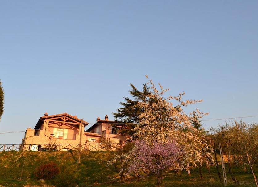 Extérieur Photo