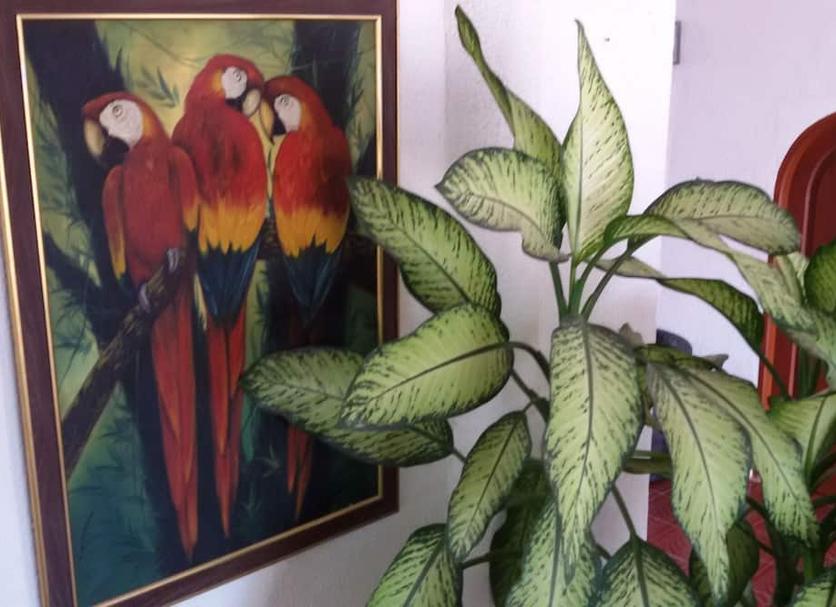 Équipements de la chambre Photo