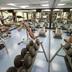 Salle de sport