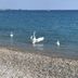 Autre