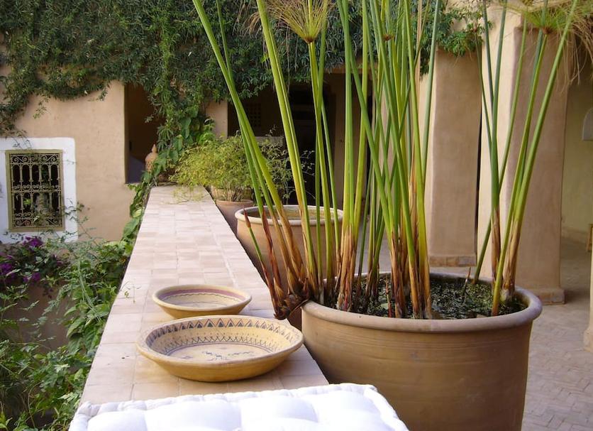 Extérieur Photo