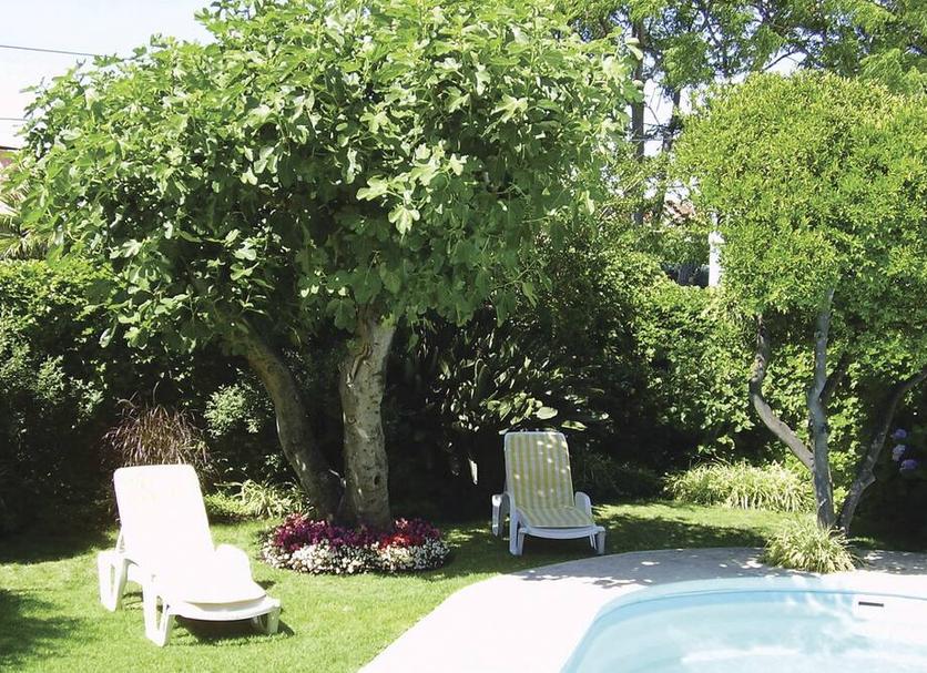 Extérieur Photo