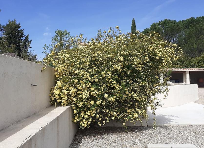 Extérieur Photo
