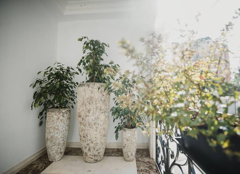 Équipements de la chambre Photo