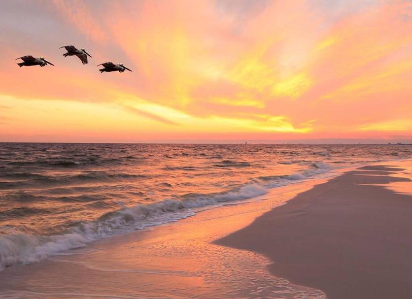 Plage Photo