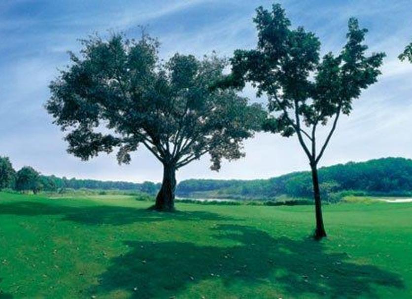 Extérieur Photo