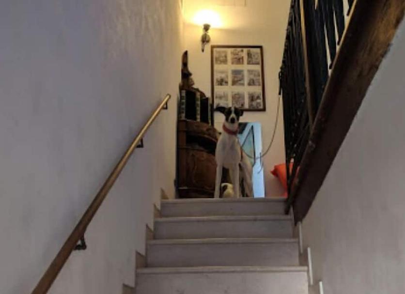 Escalier Photo