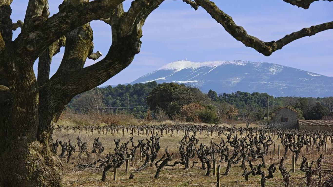 Mas du Vieux Tilleul
