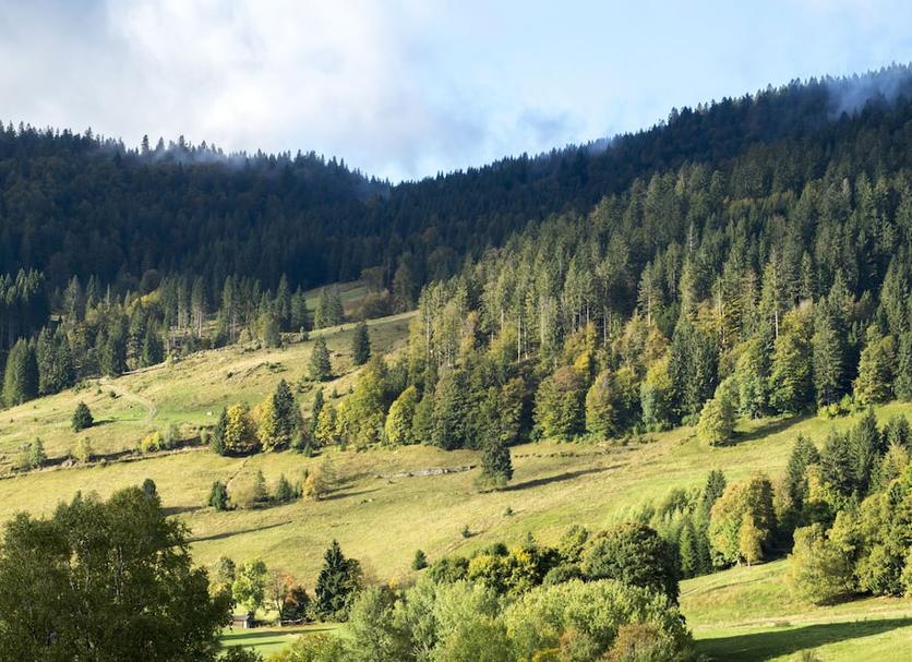 Extérieur Photo