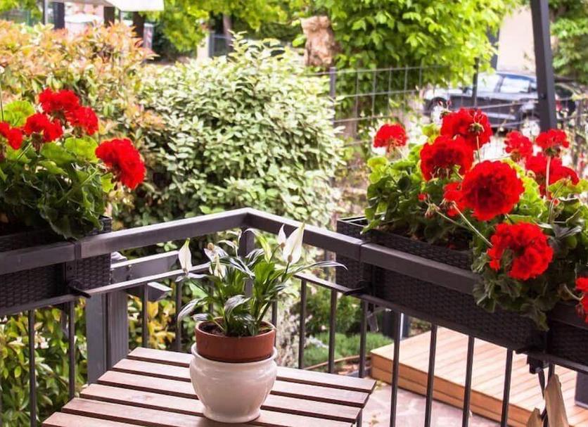 Balcon Photo