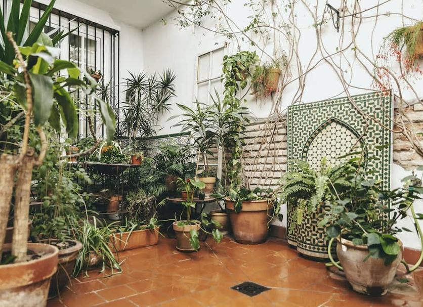 Extérieur Photo