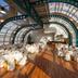 Salle de banquet