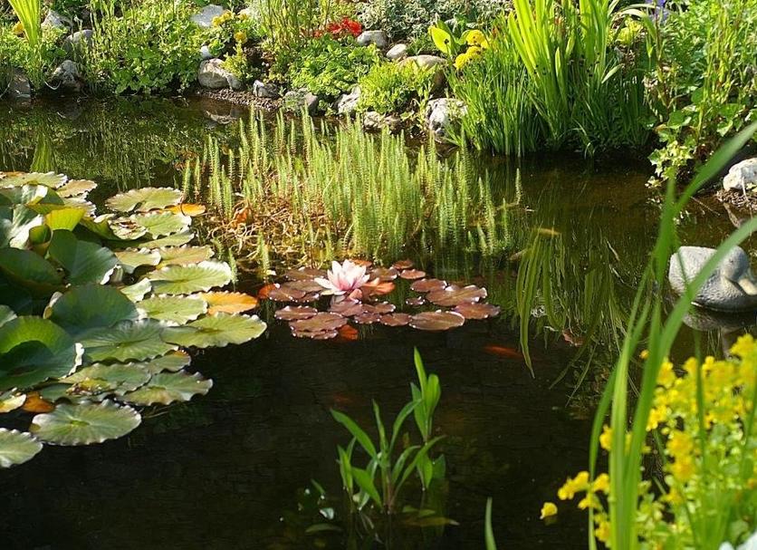 Extérieur Photo