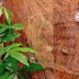 Autre
