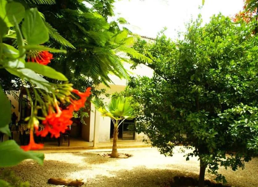 Extérieur Photo