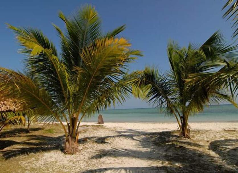 Plage Photo