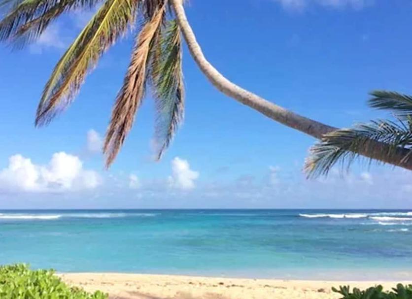 Plage Photo