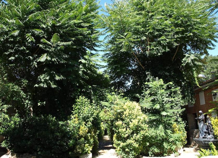 Extérieur Photo