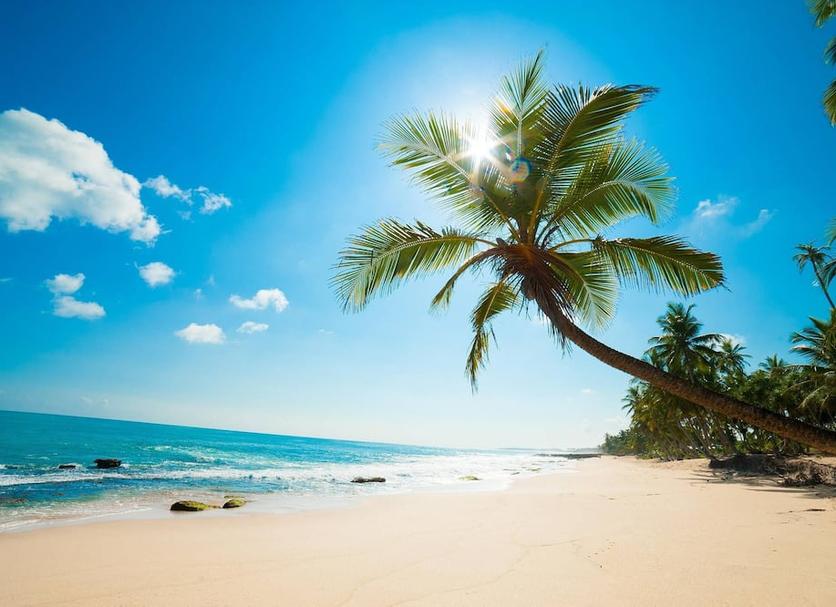Plage Photo