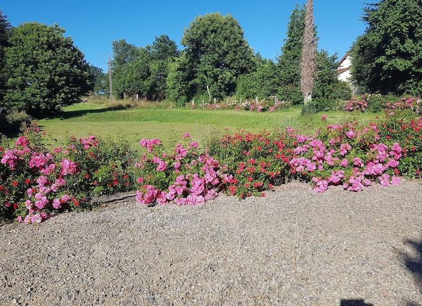 Extérieur Photo