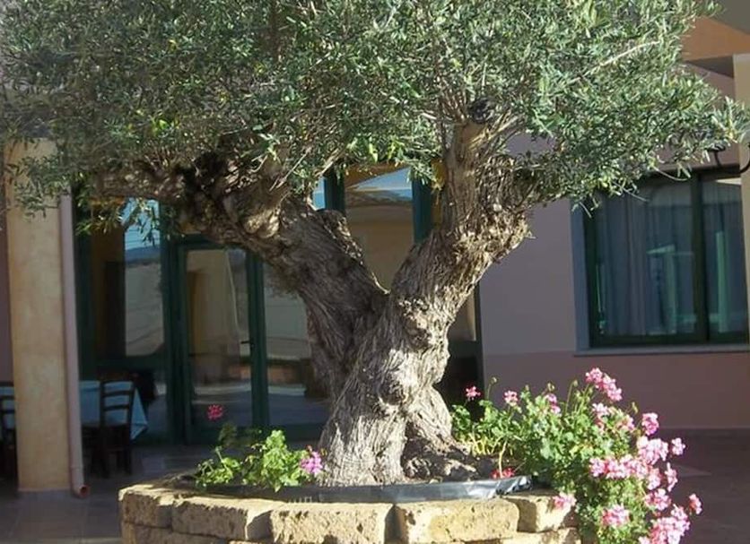 Extérieur Photo