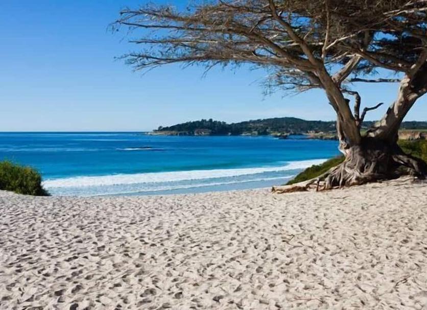 Plage Photo