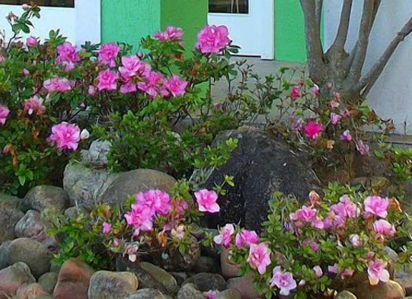 Extérieur Photo