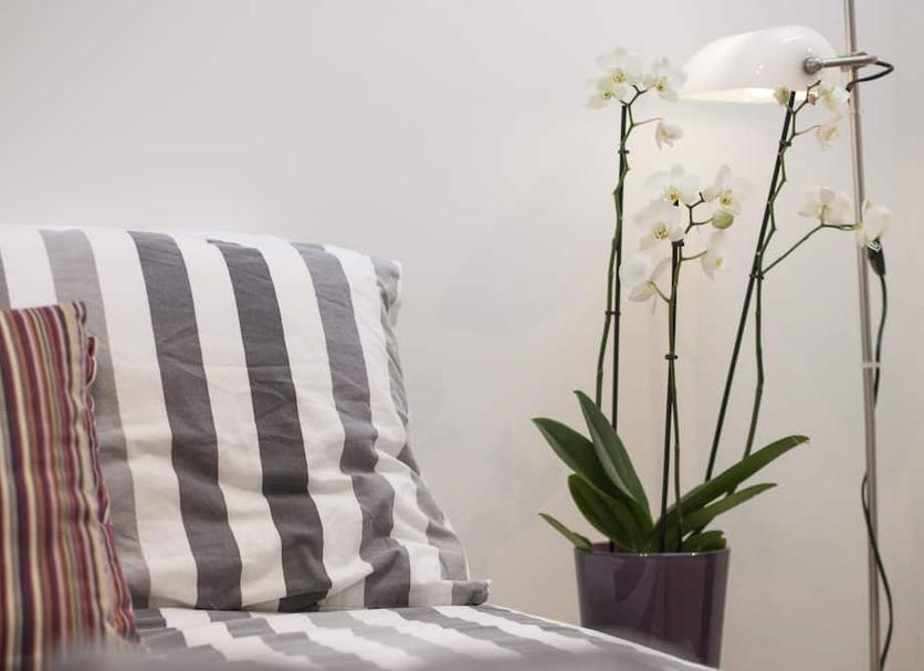 Équipements de la chambre Photo