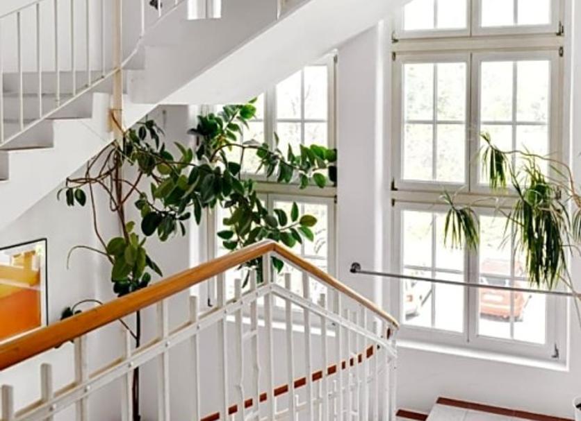 Escalier Photo