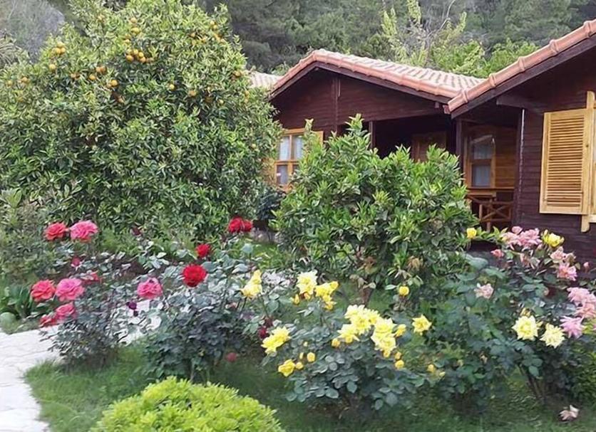 Extérieur Photo