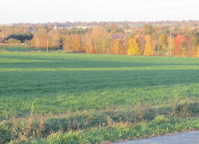 Extérieur Photo