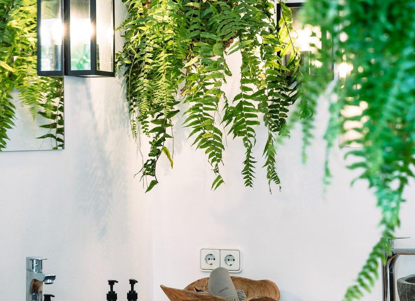 Extérieur Photo