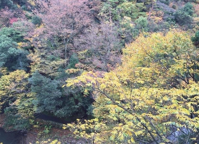 Extérieur Photo