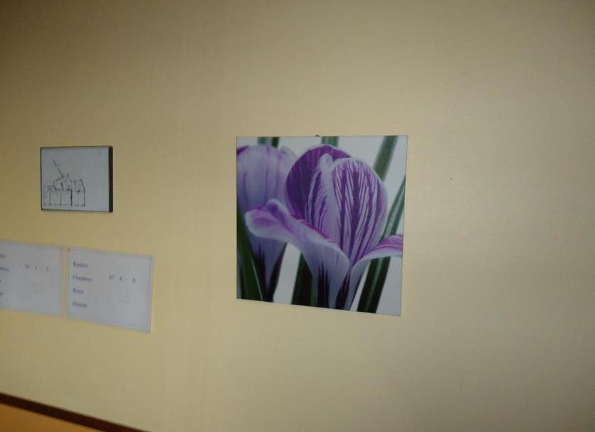 Équipements de la chambre Photo