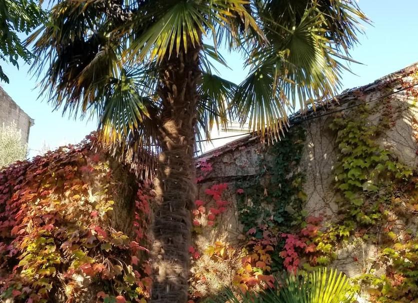 Extérieur Photo